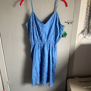 J-Crew Blue Dress